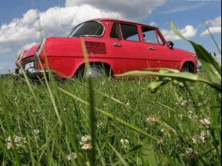 !---tisc--malch--bolest---