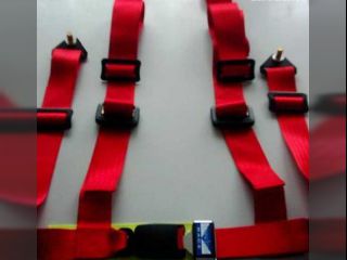 !4-bodov psy a sedaky