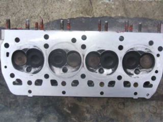 !Hlava koda 1500cm