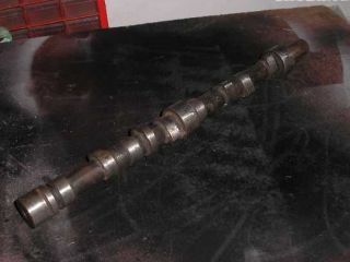 !Psty 120 a vaka 320/320