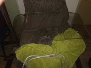 !Prodam okna na koda 100