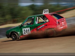 !Prodm zvodn Felici na autocross