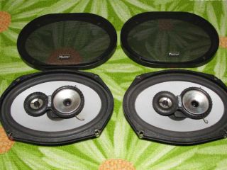 !Repro Magnat Bull Power 693