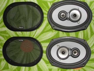 !Repro Magnat Bull Power 693