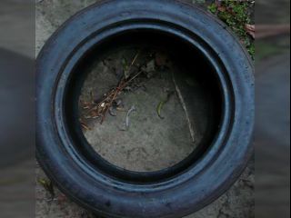 !Slicky 205/50R15 s E-homologac