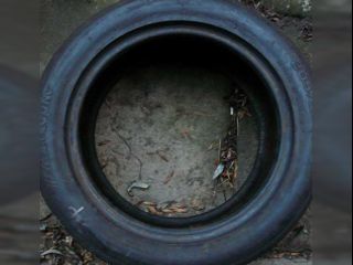 !Slicky 205/50R15 s E-homologac