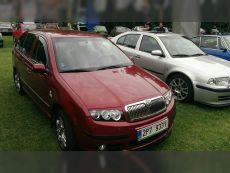 47064981
