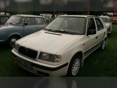 47065005