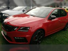 47065017