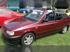 47065042