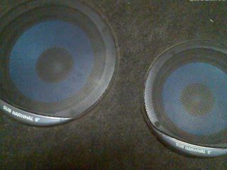 !plato FVO 4x repro NARWHAL