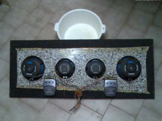 !plato FVO 4x repro NARWHAL
