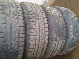 !pleche 5x100