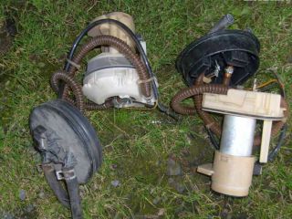 !pouit dly koda Felicia