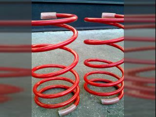 !snen pruiny Felicia